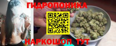 спиды Чебоксары