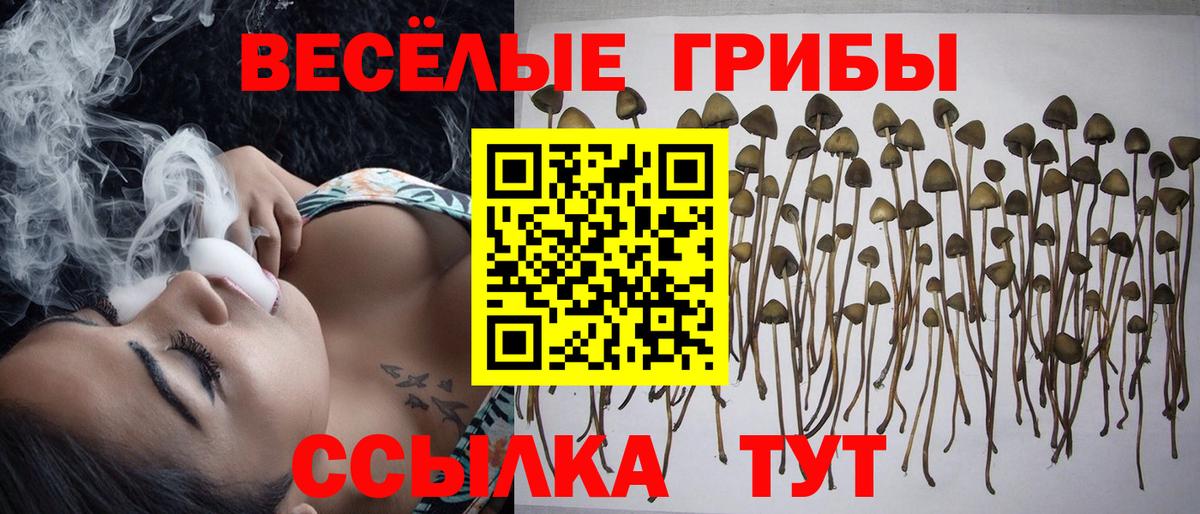 Галлюциногенные грибы MAGIC MUSHROOMS Балашиха
