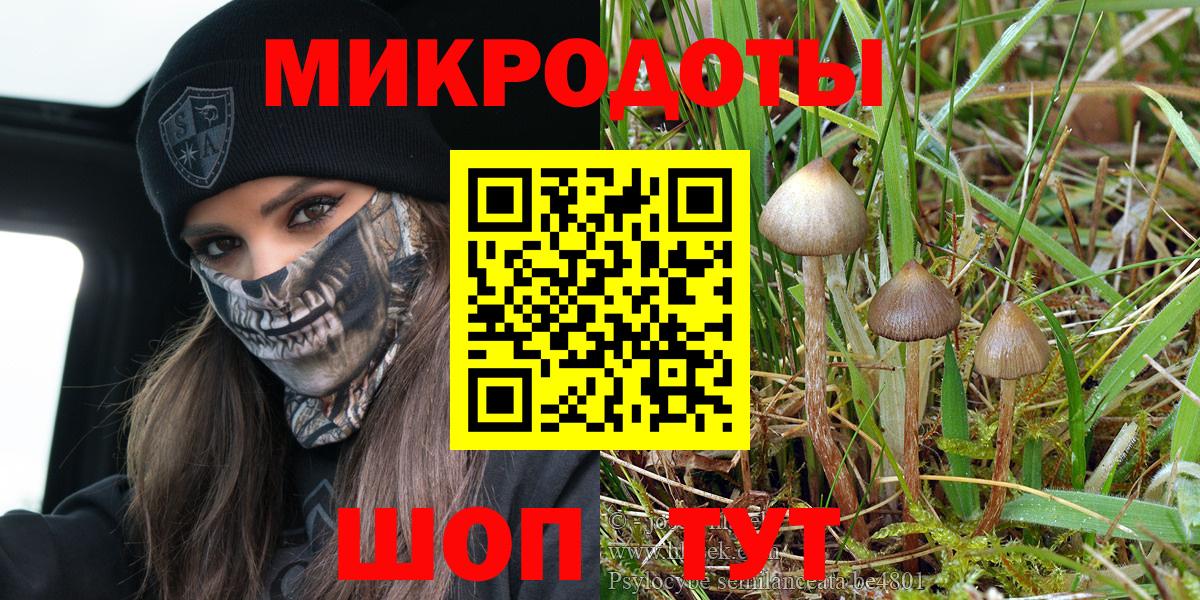 Галлюциногенные грибы прущие грибы  цены   Галлюциногенные грибы Psilocybe  Балашиха  Вход с VPN 
